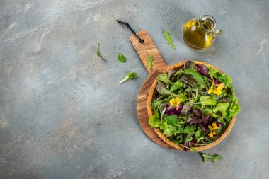 Salata karışımı roka, frisee, radicchio ve kuzu marulu süper yiyecek konsepti. Sağlıklı, temiz yemek. Vegan ya da glütensiz diyet,