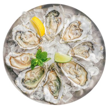 Beyaz arka planda buzlu ve limonlu taze istiridye..