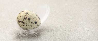 Tüylü bıldırcın yumurtası, çiftlik yumurtaları üretildi. Biyolojik gıda ürünleri. metin için yer,