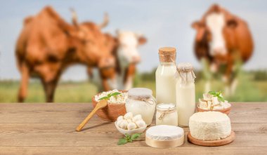 Bottle milk, cheeses, cottage cheese, yogurt, butter on a wooden table on meadow of cows background. Farm dairy products. eco lactose-free food clipart