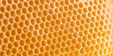 Bal peteği makrosu. Balmumu bal peteğinin arka plan dokusu ve deseni. Uzun pankart biçimi.