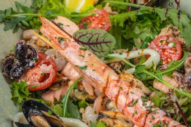 Deniz ürünleri salatası di mare. Kalamar karidesi, istiridye. en üstteki görünüm,