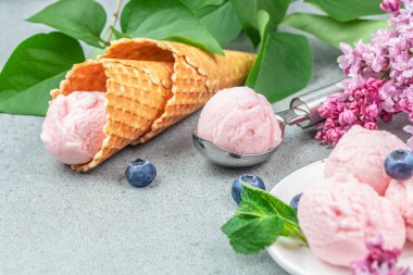 Bir kepçe dondurma ve taze yaban mersini. Ev yapımı yoğurt ve organik yaban mersinli dondurma külahı. kopyalama alanı. en üstteki görünüm.