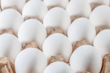 Tepside ya da yumurta kutusunda organik beyaz yumurta. Satılık protein diyet kabı.