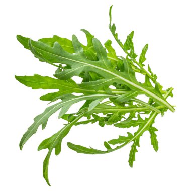 Beyaz arka plan makro'izole yeşil taze rucola veya roka yaprağı,