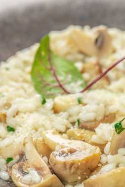 Yumuşak sotelenmiş mantar, parmesan peyniri ve taze otlarla süslenmiş güzel bir mikro yeşil yaprakla kaplanmış, yakın plan kremalı mantarlı risotto..