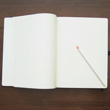 A beautiful pencil lies on a large notebook