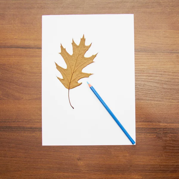 Осенние Листья Карандаши Деревянном Фоне — стоковое фото