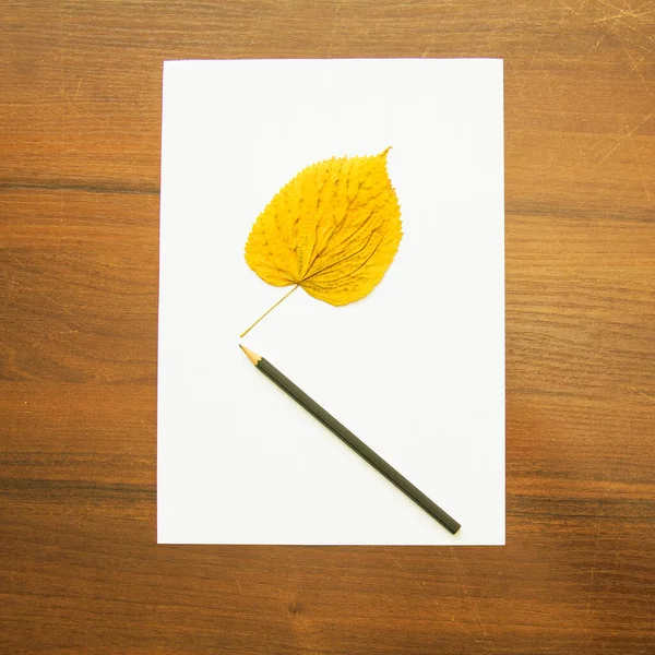 Egy Ceruza Fekszik Egy Üres Papírlapon Gyönyörű Háttérrel Egy Fotóstúdióban — Stock Fotó