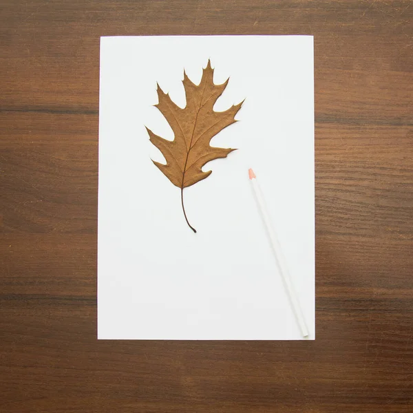 Осенние Листья Карандаш Деревянном Фоне — стоковое фото
