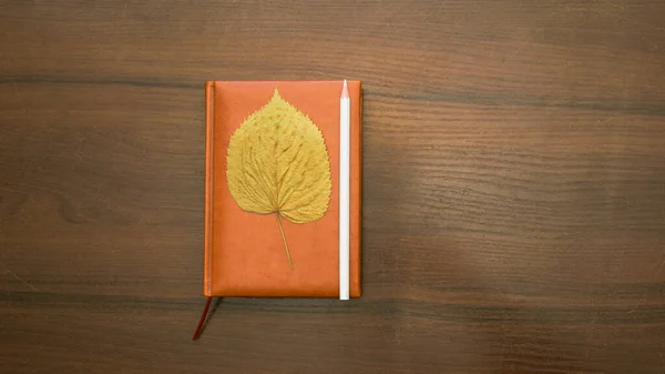 Notebook Ceruza Egy Gyönyörű Háttér Egy Fotó Stúdió — Stock Fotó