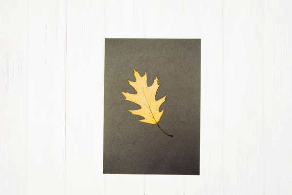 autumn maple leaf in the form of leaves on a white wood background