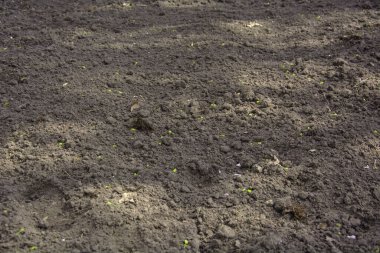 Toprak ve toprak. bahar