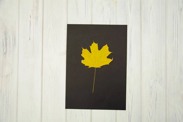 Ahornblatt Mit Herbstblättern Auf Holzboden Gemalt — Stockfoto