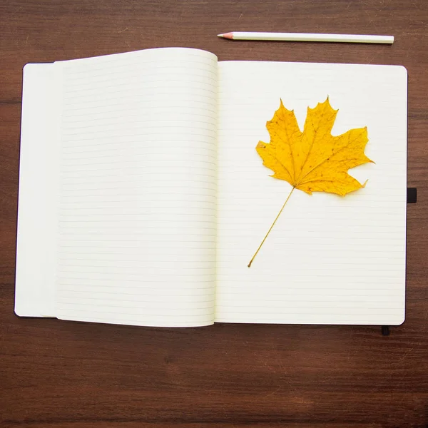 Caderno Fundo Outono Lápis Caneta Amarelos Lápis Folhas Vermelhas — Fotografia de Stock