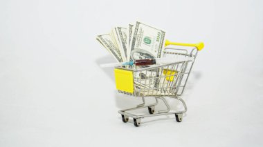 Dolar ve parayla alışveriş arabası.