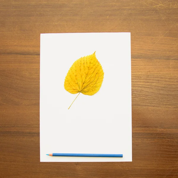 Лист Паперу Осінній Лист Білому Дерев Яному Столі — стокове фото