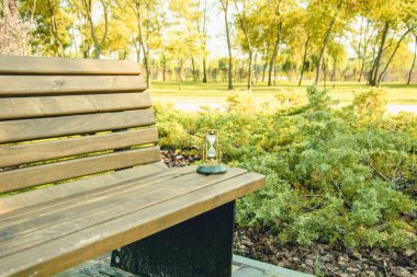 Parktaki boş ahşap bank.