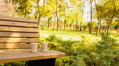 Kahve fincanı parkta, doğada masanın üstünde.