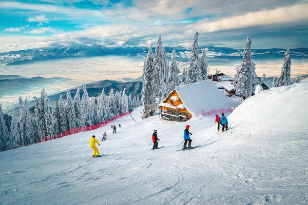 Pista Esqui Inverno Admirável Com Esquiadores Pinheiros Cobertos Neve Fundo — Fotografia de Stock