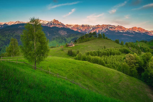 新鮮な緑のフィールドと日没の雪の山と魔法の高山の風景 Moieciu Sus ルーマニア ヨーロッパ — ストック写真