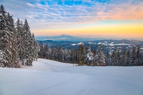罗马尼亚 特兰西瓦尼亚 波亚娜布拉索夫滑雪胜地 在日出时分 雪地覆盖着松树林和新准备的宽阔而空旷的冬季滑雪场 — 图库照片