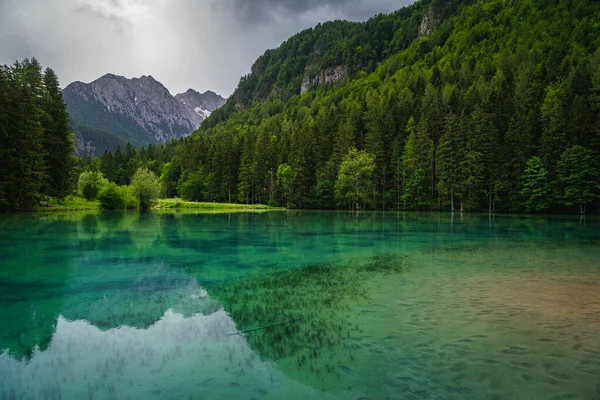 見事な山の湖と高山の春の風景 スロベニア ヨーロッパ ジェズコ渓谷の緑の森を持つプランサルスコ湖 — ストック写真