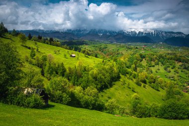 Majestic summer countryside landscape with fresh green forests on the hills and snowy Piatra Craiului mountains in background, Pestera village, Transylvania, Romania, Europe