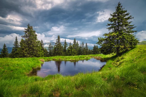 Rainy day with spectacular dark clouds and beautiful small lake on the green forest glade