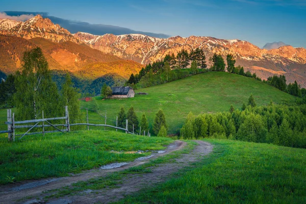 Beundransvärt Sommarlandskap Smutsig Landsväg Gröna Fälten Och Spektakulära Snöiga Berg — Stockfoto