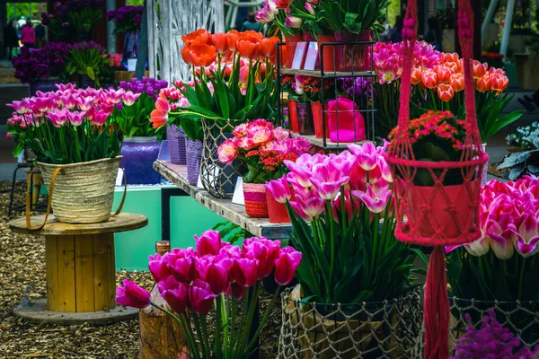 Ornamental Fresh Colorful Tulip Flowers Stand Arranged Tulip Decoration Flower — Stock Photo, Image