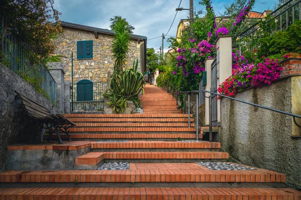 花の庭と素朴な石造りの家 テラロ リグーリア イタリア ヨーロッパと階段から絵のように居心地の良い通りの景色 — ストック写真