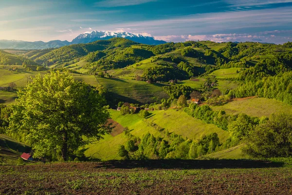 Majestueuze Zomer Landschap Met Groene Weiden Landbouwgronden Hellingen Hoge Besneeuwde — Stockfoto
