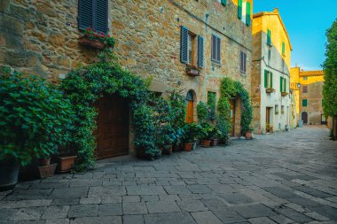 Taş evler, Pienza, Tuscany, Avrupa 'da yeşil bitkiler ve yasemin çiçekleriyle pitoresk sokak manzarası 