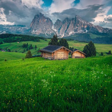 Yeşil çiçek tarlalarında ahşap kulübeleri ve arka planda karlı dağları olan fantastik yaz dağları, Dolomitler, Alpe di Siusi, İtalya, Avrupa