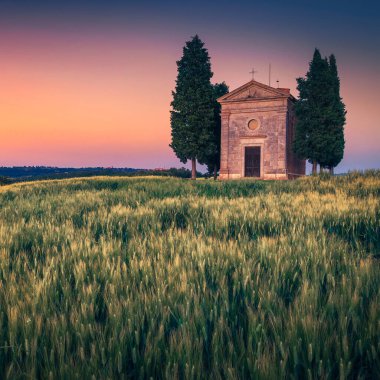 Tuscany 'deki çarpıcı fotoğrafçılık ve turistik mekan, gün batımında tahıl tarlasında sevimli eski Vitaleta şapeli, Pienza, Toskana, İtalya, Avrupa