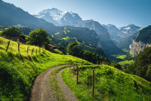 アルプスの緑の斜面の農村道路 ローターブルネン渓谷 Wengen ベルネーゼ オーバーランド スイス ヨーロッパ — ストック写真