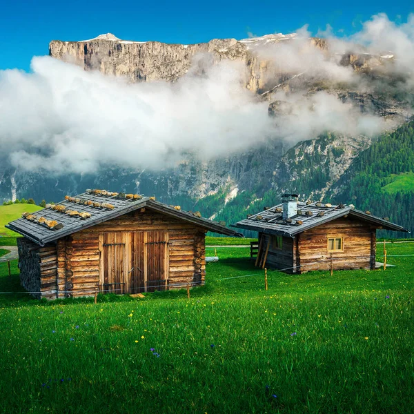 Gemütliche Holzchalets Grünen Blühenden Hängen Den Dolomiten Italien Europa — Stockfoto