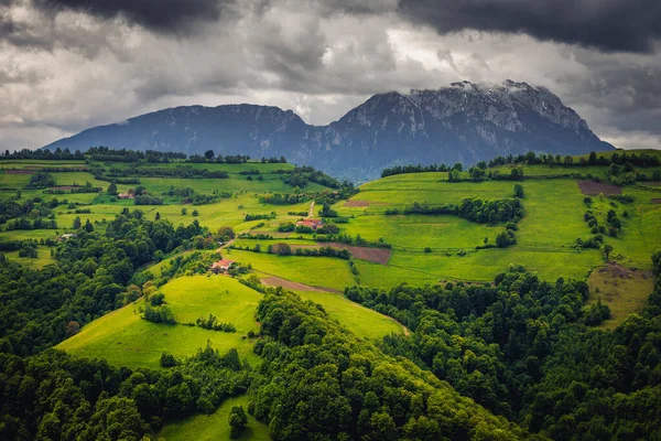 雨の日に丘の上に緑のフィールドや森林と素晴らしい夏の農村風景 背景にピアトラCraiului山 Holbav ルーマニア ヨーロッパ — ストック写真
