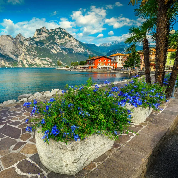 Fantastische Küste Und Malerische Promenade Mit Blumen Geschmückt Gardasee Torbole — Stockfoto