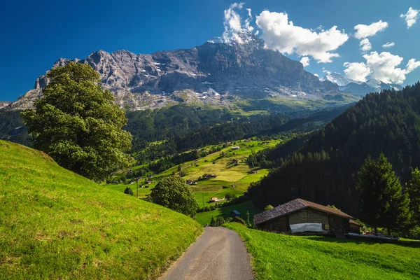 Amazing View High Mountains Rural Road Green Field Grindelwald Switzerland — Stock Photo, Image