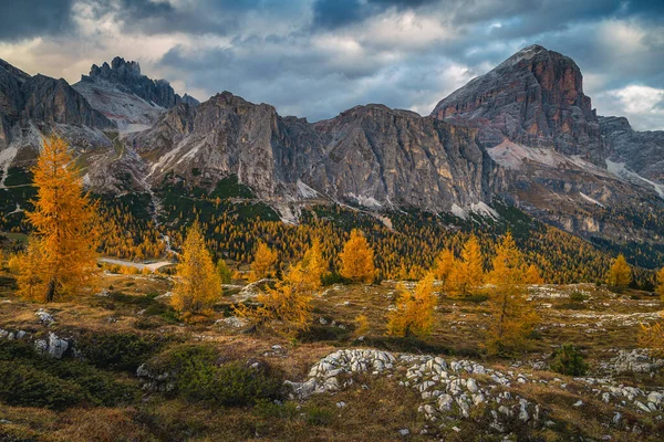 カラフルなレッドウッドの森と絵のように美しい黄色のカラマツの木と見事な秋の高山の風景 高い山の上の美しい雲 パスソFalzarego Dolomites イタリア ヨーロッパ — ストック写真