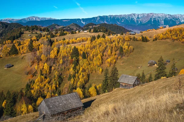 Úžasná Podzimní Venkovská Krajina Pestrobarevné Opadavé Stromy Svazích Staré Dřevěné — Stock fotografie