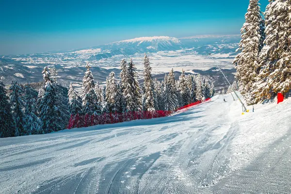 Pas Bereide Skiroute Met Sneeuwkanonnen Besneeuwd Dennenbos Het Skigebied Poiana — Stockfoto