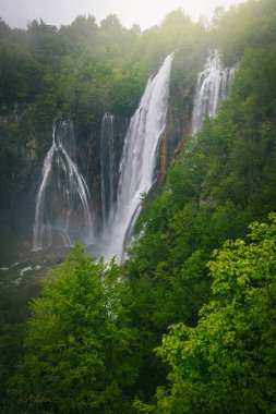 Hırvatistan 'ın en ünlü ve sisli yeşil ormandaki güzel şelaleleri ile ziyaret edilen Ulusal Parkı' ndan biri. Yağmurlu bir günde Plitvice gölleri, Hırvatistan ve Avrupa