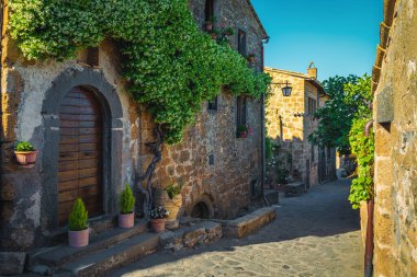 Taş evin duvarında muhteşem kokulu yasemin çiçeği, Civita di Bagnoregio, Viterbo, Lazio, İtalya, Avrupa