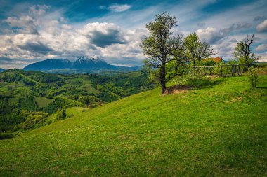 Stunning summer rural scenery and old farmhouse on the slope with beautiful view, Piatra Craiului mountains in background, Holbav, Romania, Europe clipart