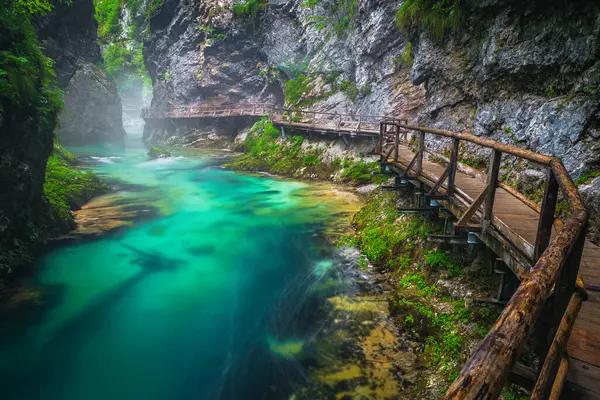 Vintgar Vadisi 'ndeki turistik tahta köprü. Derin vadide, Bled, Slovenya, Avrupa 'da temiz dağ nehri manzarası