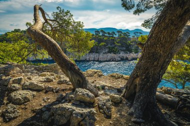 Göz kamaştırıcı Akdeniz koyuyla kireçtaşı uçurumları, Calanque de Pin körfezi, Calanques Ulusal Parkı, Cassis, Güney Fransa, Avrupa arasındaki muhteşem manzara.