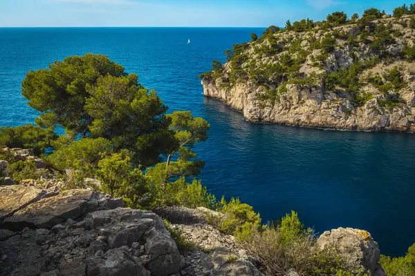 Calanque de Pin körfezi, Calanques Ulusal Parkı, Cassis, Güney Fransa ve Avrupa 'daki Akdeniz kıyısındaki uçurumlar arasında inanılmaz bir bakış açısı var.